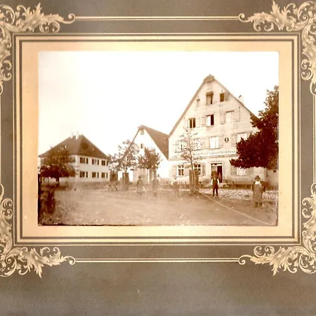 Weißer Löwe-3